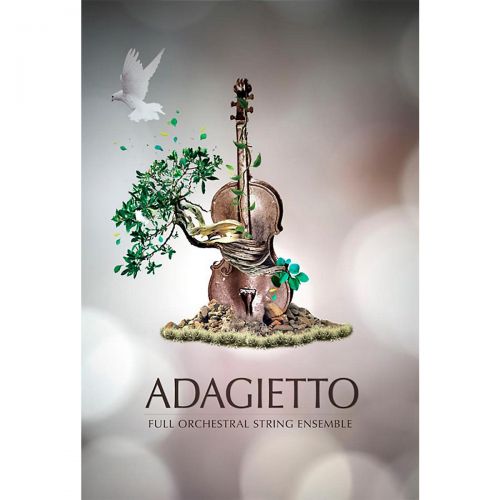  8DIO Productions Adagietto