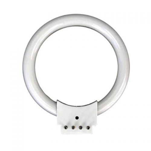  8W Fluorescent Ring Light Bulb by AmScope