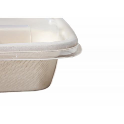  A World Of Deals 3 Compartment COMPOSTABLE Food Container/Microwave Safe with Lids/Divided Plate/bento Box/lunch, Use for 21 Day Fix, Meal Prep and Portion Control, Bottom with Clear Cover Pack of