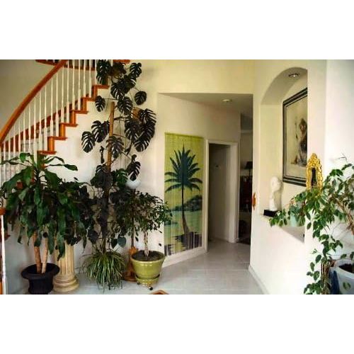  ABeadedCurtain Single Palm Tree Beaded Curtain 125 Strands (+hanging hardware)