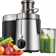 A/C Juicer, Juicer Machine for Whole Fruit and Vegetable with Wide Feed Chute, Centrifugal Juicers with 2 Speed and Pulse Function, 2021 Upgraded 400W Motor, BPA Free, Silver, 14.56x7.
