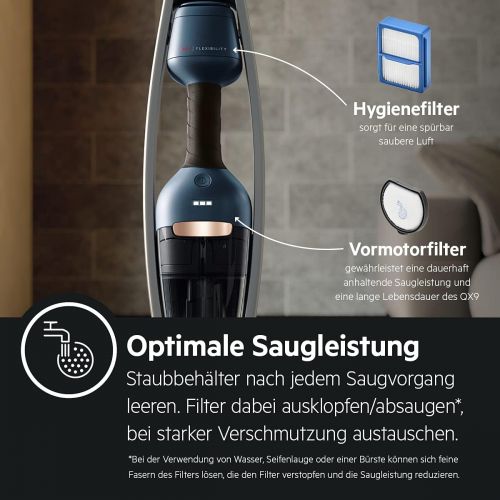  [아마존베스트]AEG QX9-1-ANIM 2-in-1 Cordless Vacuum Cleaner