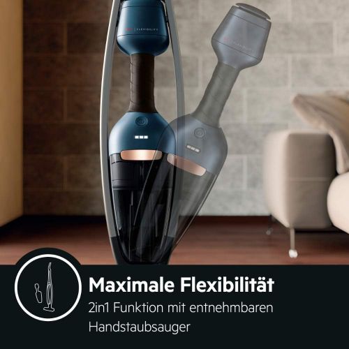  [아마존베스트]AEG QX9-1-ANIM 2-in-1 Cordless Vacuum Cleaner