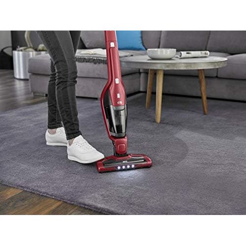  [아마존베스트]AEG Ergorapido CX7-2-I360 Cordless Stick Vacuum For Pet Hair