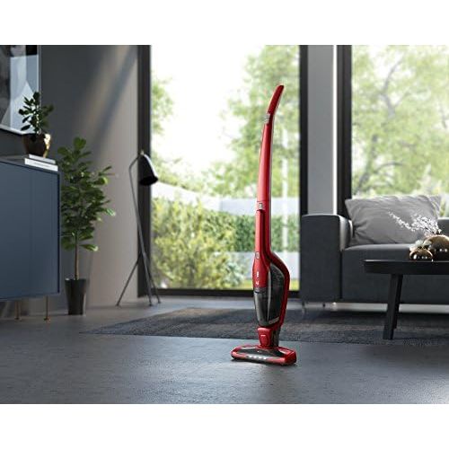  [아마존베스트]AEG Ergorapido CX7-2-I360 Cordless Stick Vacuum For Pet Hair