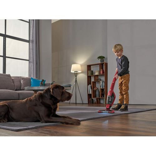  [아마존베스트]AEG Ergorapido CX7-2-I360 Cordless Stick Vacuum For Pet Hair