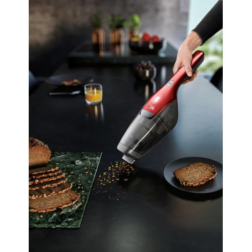  [아마존베스트]AEG Ergorapido CX7-2-I360 Cordless Stick Vacuum For Pet Hair