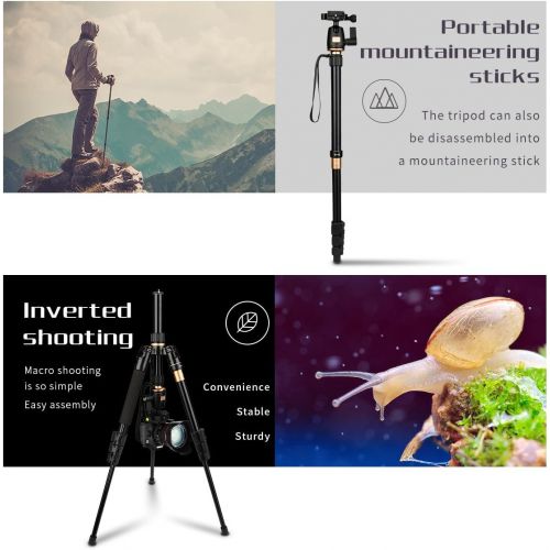  AFAITH Tripod for DSLR Camera, Ultra Compact and Lightweight Aluminum Travel Tripod with 360 Panorama Ball Head Quick Release Plate for Canon, Nikon, Sony, Samsung, Olympus, Panaso