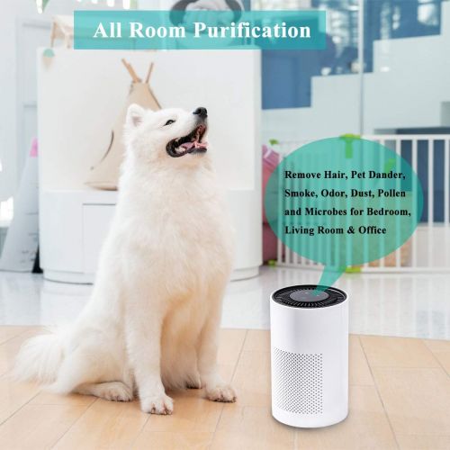  AIIKEE Small Air Purifier for Home Bedroom Office, Quite Sleep Mode True HEPA 3 Stage Filtration for Smoke Dust Pollen,Ozone Free Home Air Cleaner-White