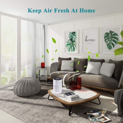  AIIKEE Small Air Purifier for Home Bedroom Office, Quite Sleep Mode True HEPA 3 Stage Filtration for Smoke Dust Pollen,Ozone Free Home Air Cleaner-White