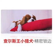 AILIUJUNBING Game Large Large Mouse pad Female Lock Cute Girl Anime Small Thick Laptop Desk pad Desk pad Cheap Desk mat Laptop Mouse Pad Non-Slip g900x400mm 4mm
