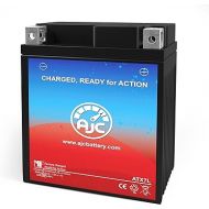 AJC Battery Compatible with Honda CMX250C Rebel 250CC Motorcycle Battery (1985-2016)