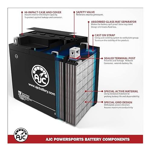  AJC AIX30L Powersports Replacement Battery