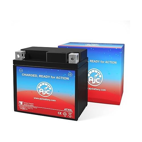  AJC Battery Compatible with Yamaha TTR230 E 230CC Motorcycle Battery (2006-2017)