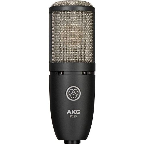  AKG Project Studio P220 Large Diaphragm Condenser Microphone With Pop Filter and XLR To XLR Cable