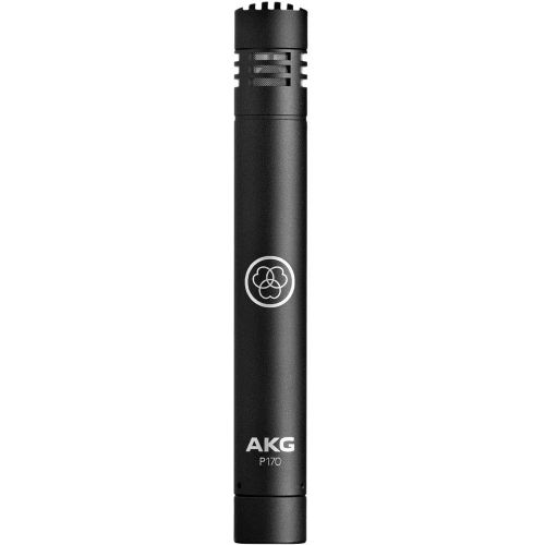  AKG P170 Small-Diaphragm Cardioid Condenser High-Performance Instrument Recording Microphone Bundle with 10-Foot XLR Cable, Pop Filter, Cable Ties and Microfiber Cloth