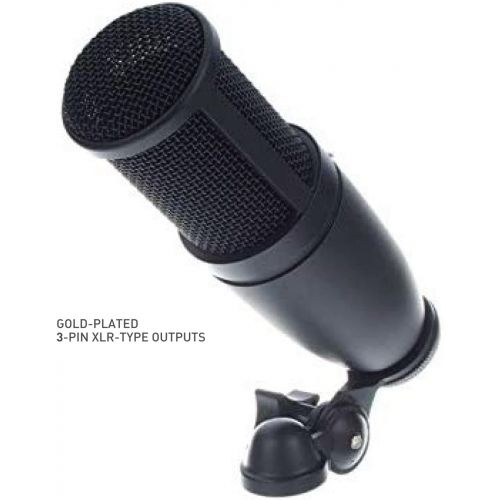  [아마존베스트]AKG P120 High-Performance General Purpose Recording Microphone
