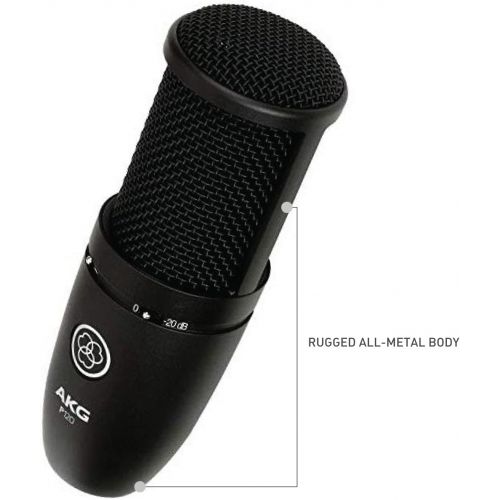  [아마존베스트]AKG P120 High-Performance General Purpose Recording Microphone