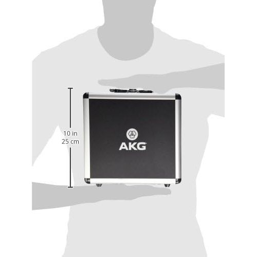  [아마존베스트]AKG Pro Audio P220 Vocal Condenser Microphone, Black