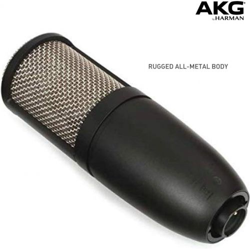  [아마존베스트]AKG Pro Audio P220 Vocal Condenser Microphone, Black