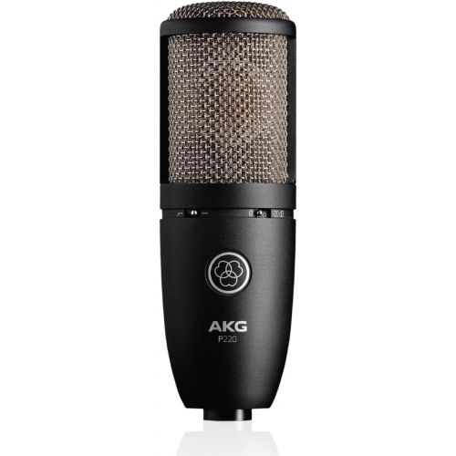  [아마존베스트]AKG Pro Audio P220 Vocal Condenser Microphone, Black