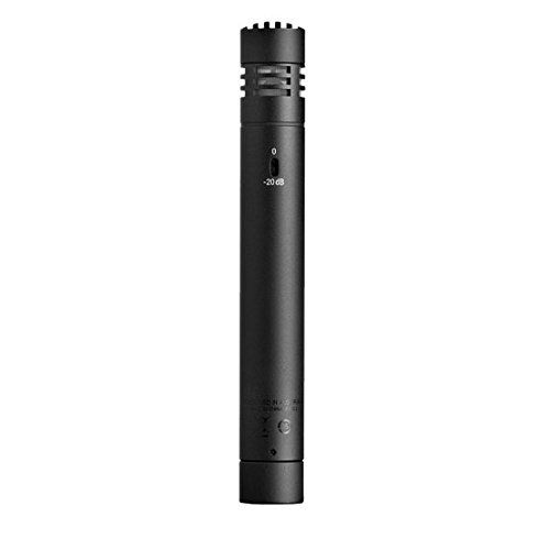  AKG Perception 170 P170 Condenser Microphone for Drum Overheads, Acoustic Guitars, Percussions BUNDLED WITH Blucoil 10-Ft Balanced XLR Cable AND 5 Pack of Cable Ties