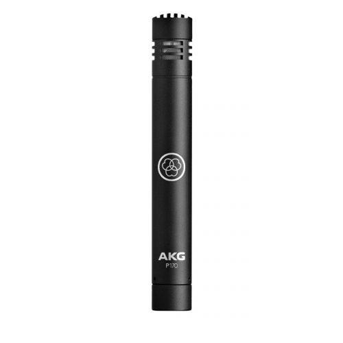  AKG Perception 170 P170 Condenser Microphone for Drum Overheads, Acoustic Guitars, Percussions BUNDLED WITH Blucoil 10-Ft Balanced XLR Cable AND 5 Pack of Cable Ties