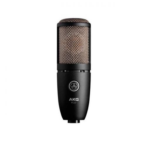  AKG P220 Large-diaphragm Condenser Microphone Black