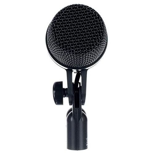  [아마존베스트]AKG Pro Audio P2 High-Performance Dynamic Bass Microphone