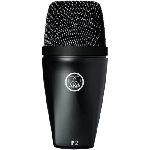  [아마존베스트]AKG Pro Audio P2 High-Performance Dynamic Bass Microphone