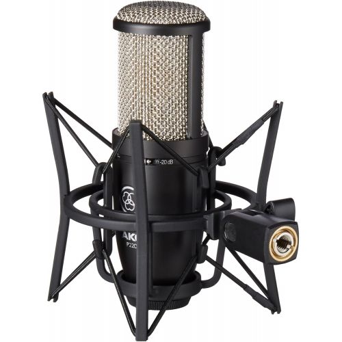  AKG Pro Audio AKG Perception 220 Professional Studio Microphone