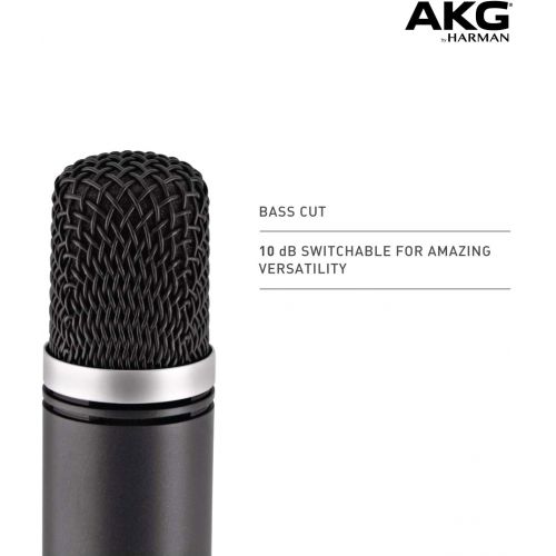  AKG Pro Audio AKG C1000S High-Performance Small Diaphragm Condenser Microphone