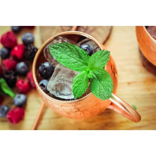  [아마존베스트]ALARUE Moscow Mule Copper Mugs Set - 4 Authentic Handcrafted Mugs (16 oz.) with 4 Copper Straws, Copper Stirrer and Copper Jigger - Food Safe Pure Solid Copper - Gift set with Recipe Book