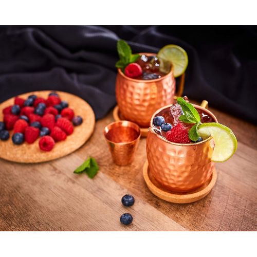  [아마존베스트]ALARUE Moscow Mule Copper Mugs Set - 4 Authentic Handcrafted Mugs (16 oz.) with Shot Glass (2 oz.) - Food Safe Pure Solid Copper Mugs - Gift set with Recipe Book Included