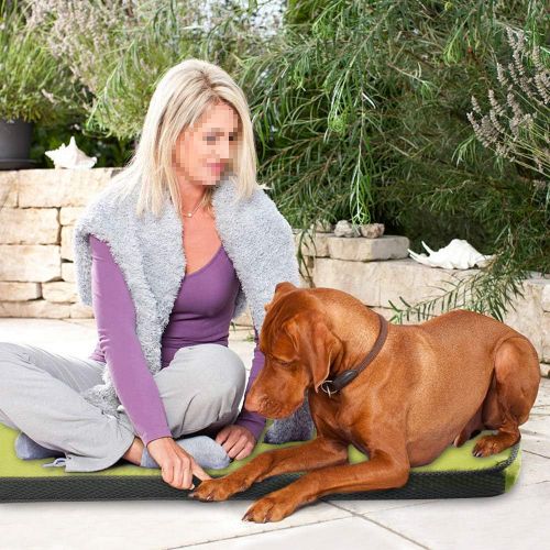  ALL FOR PAWS Pet Cool Mat Cool Dog Mat Cooling Pad Dog Bed Mat