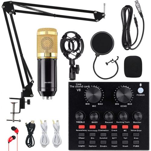  Condenser Microphone Bundle, ALPOWL BM-800 Mic Kit with Live Sound Card, Adjustable Mic Suspension Scissor Arm, Metal Shock Mount and Double-Layer Pop Filter for Studio Recording &