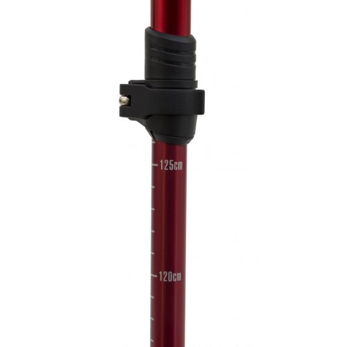  ALPS Mountaineering Conquest Trekking Pole 7897005 CampSaver