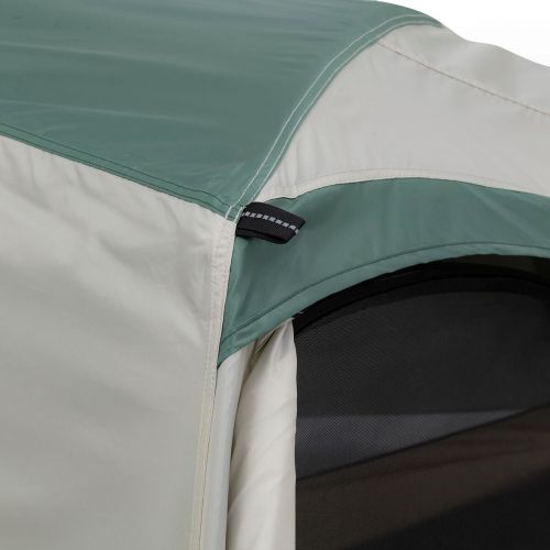  ALPS Mountaineering Ibex 3 Tent: 3-Person 3-Season