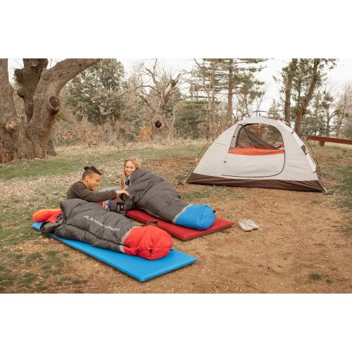  [아마존베스트]ALPS Mountaineering Taurus 2-Person Tent FG, Sage/Rust