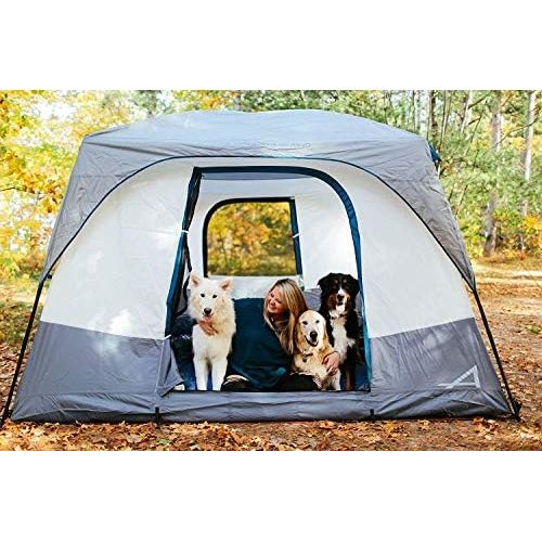  [아마존베스트]ALPS Mountaineering Camp Creek 4 Person Tent, Charcoal/Blue