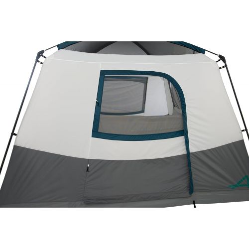  [아마존베스트]ALPS Mountaineering Camp Creek 4 Person Tent, Charcoal/Blue