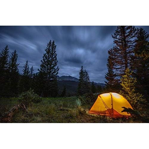  [아마존베스트]ALPS Mountaineering Aries 2-Person Tent, Copper/Rust