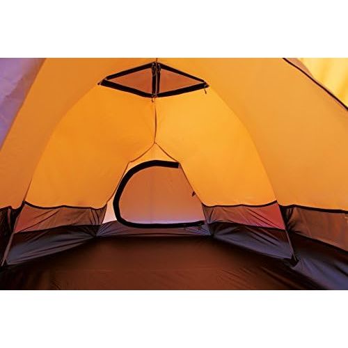  [아마존베스트]ALPS Mountaineering Tasmanian 3 Person Tent, Copper/Rust