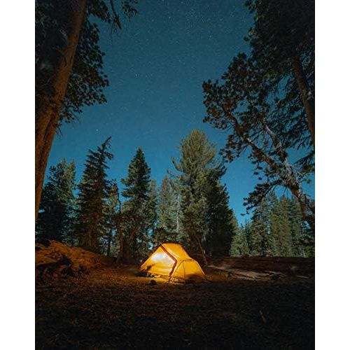  [아마존베스트]ALPS Mountaineering Mystique 1.5 Tent, Copper/Rust