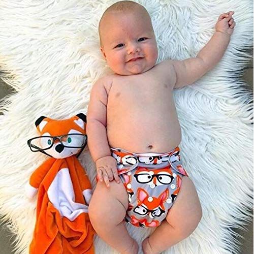  ALVABABY Baby Cloth Diapers One Size Adjustable Washable Reusable for Baby Girls and Boys 6 Pack + 12 Inserts 6DM48