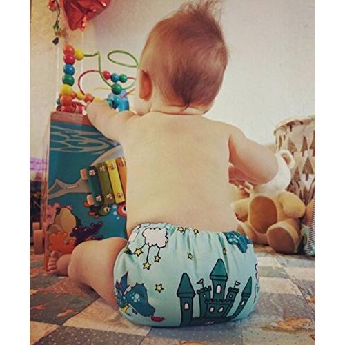  ALVABABY Baby Cloth Diapers One Size Adjustable Washable Reusable for Baby Girls and Boys 6 Pack + 12 Inserts 6DM48