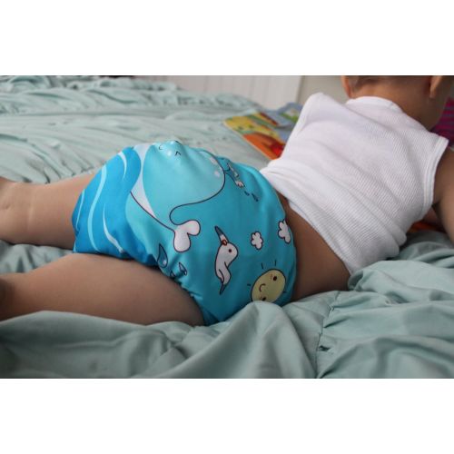  ALVABABY Pocket Cloth Diapers Reusable Washable Adjustable for Baby Boys and Girls,6 Pack with 12 Inserts 6DM27