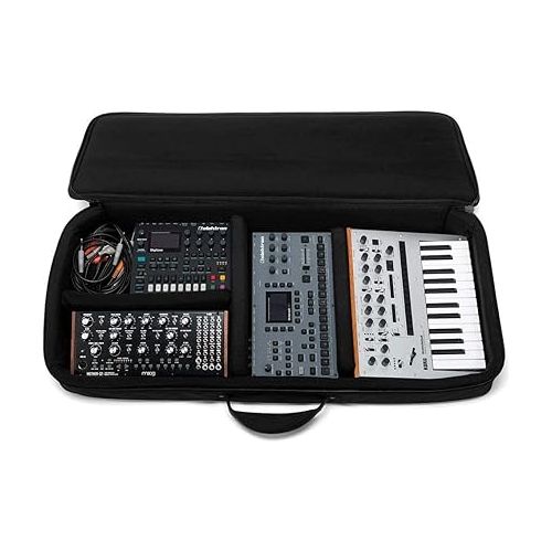  ANALOG CASES Prophet Rev2 / Trigon-6 / Prophet 6 /OB6 Case - Custom-Fitted Padded SUSTAIN Travel Case with Backpack Straps