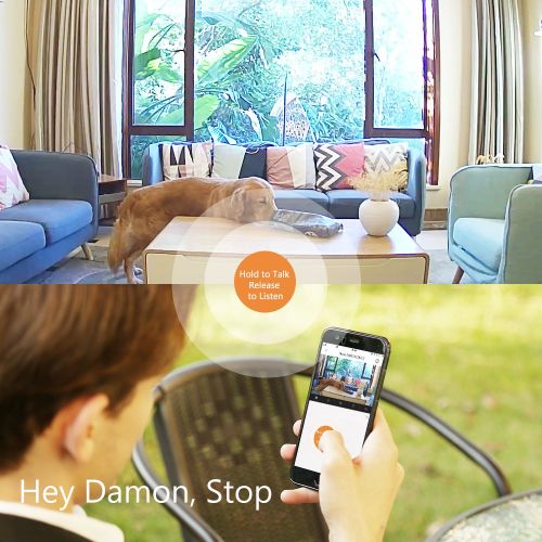  IP Camera, ANNKE Nova S 1080P HD WiFi Wireless Security Camera, Work with Amazon Alexa and IFTTT, Two-Way Audio, Cloud Service Available