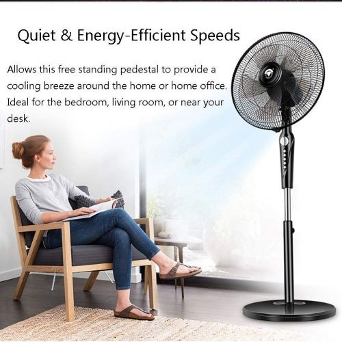  ANSIO FAN LYFS Pedestal Stand Floor-Standing Can Be Rotated Adjustable Height 4 Speed Setting Mute 16-Inch Black